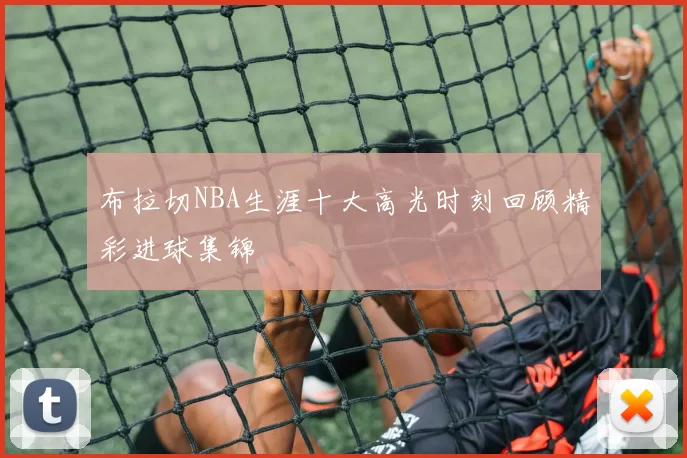 布拉切NBA生涯十大高光时刻回顾精彩进球集锦