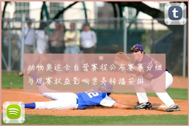 动物奥运会自营赛程公布赛事分组与观赛权益影响票务转播安排