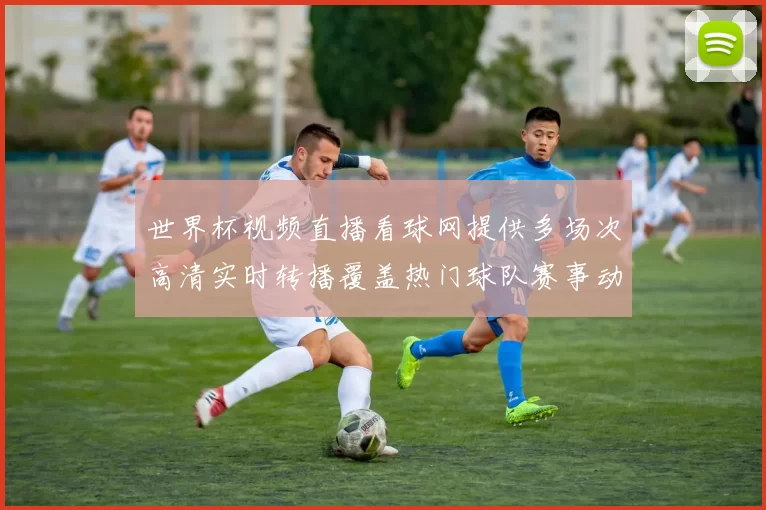 世界杯视频直播看球网提供多场次高清实时转播覆盖热门球队赛事动态