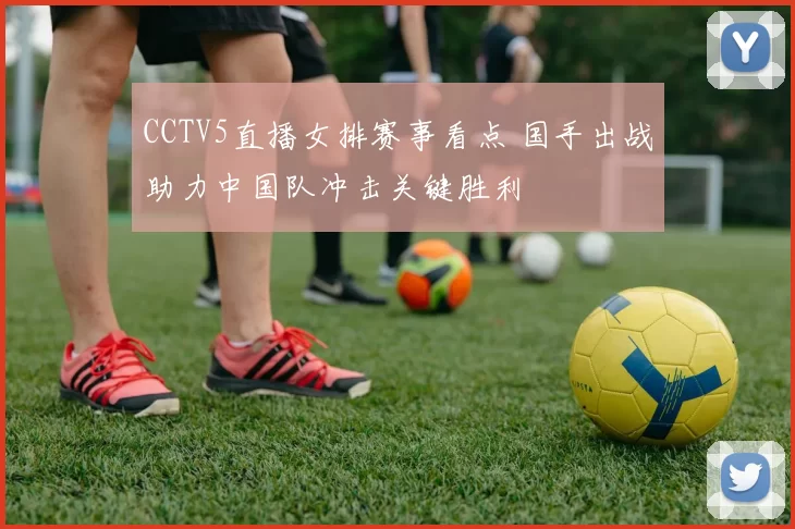 CCTV5直播女排赛事看点 国手出战助力中国队冲击关键胜利