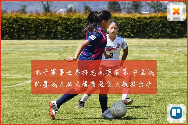 电子赛事世界杯总决赛落幕 中国战队鏖战五局无缘首冠焦点数据出炉