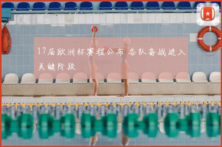 17届欧洲杯赛程公布 各队备战进入关键阶段