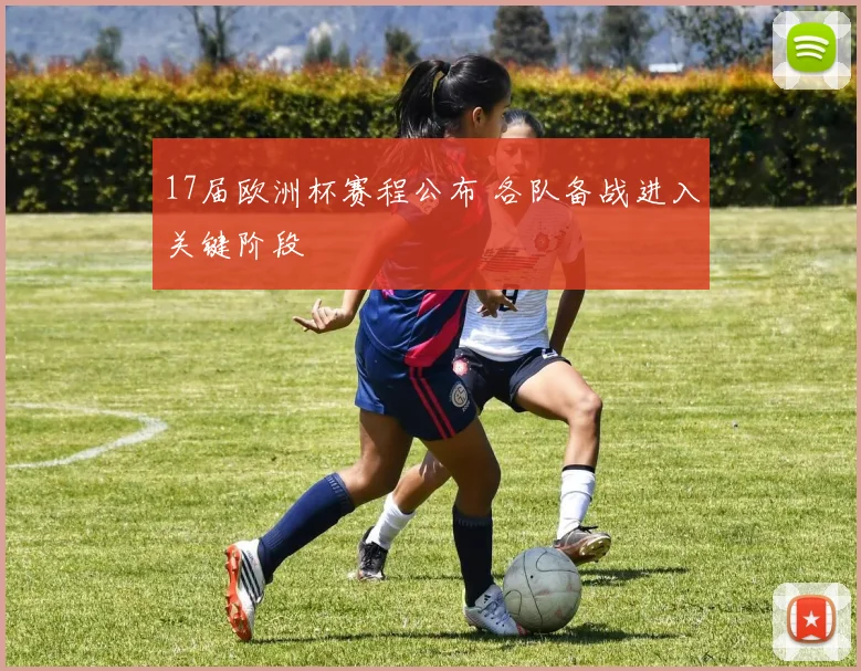 17届欧洲杯赛程公布 各队备战进入关键阶段
