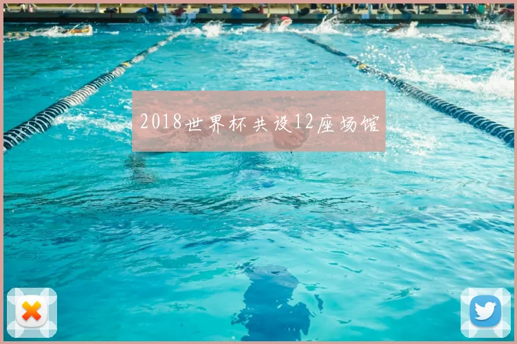 2018世界杯共设12座场馆