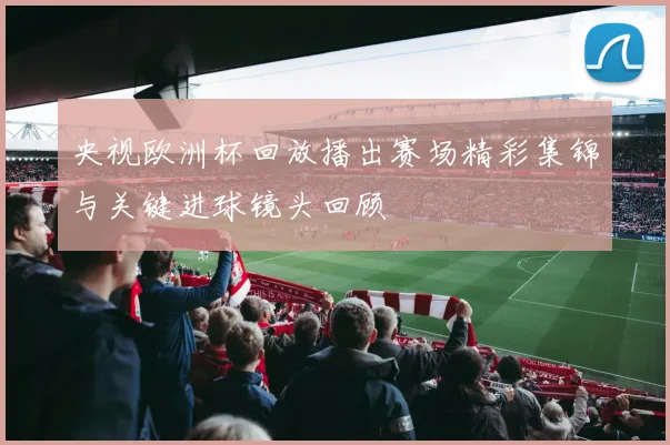 央视欧洲杯回放播出赛场精彩集锦与关键进球镜头回顾