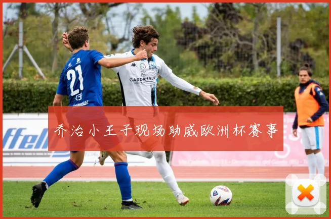 乔治小王子现场助威欧洲杯赛事