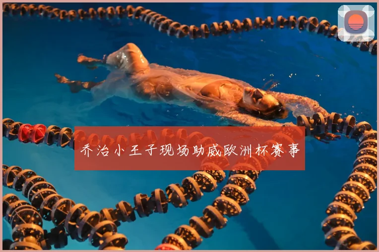乔治小王子现场助威欧洲杯赛事