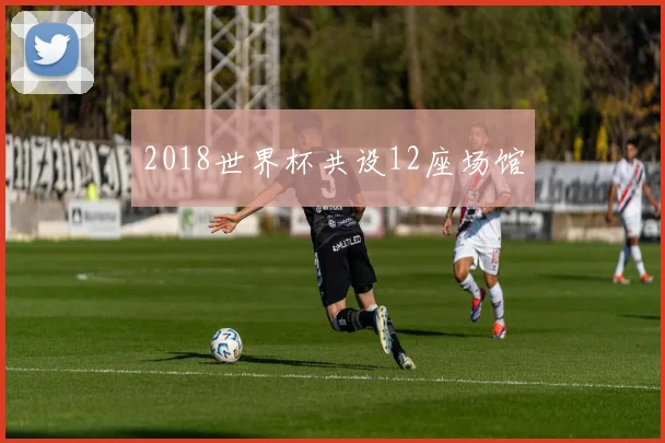 2018世界杯共设12座场馆