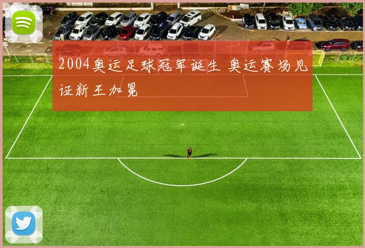 2004奥运足球冠军诞生 奥运赛场见证新王加冕