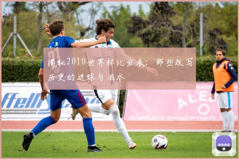 揭秘2010世界杯比分表:那些改写历史的进球与泪水